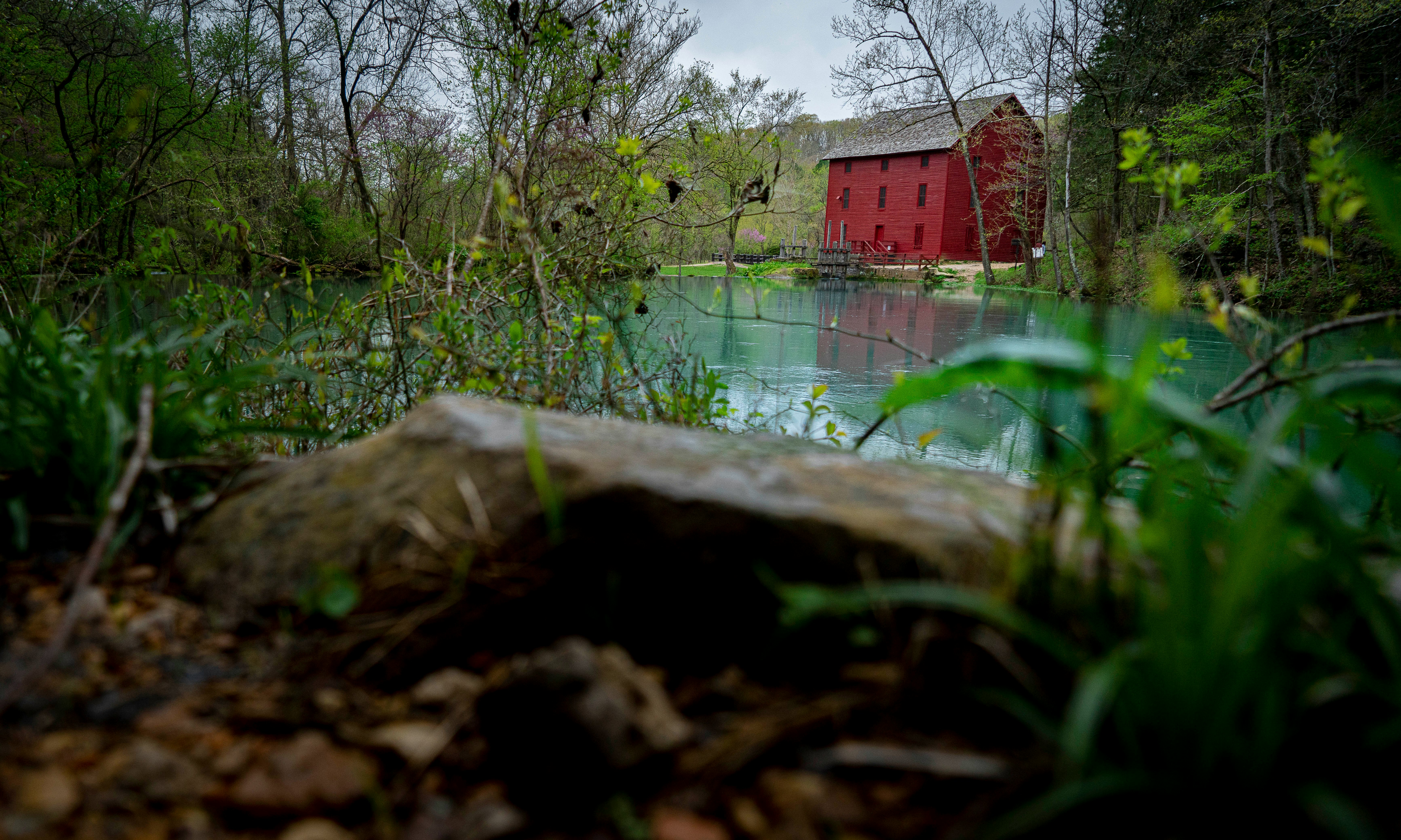 red and white house beside green trees and river during daytime