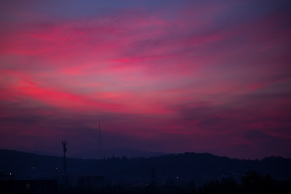 silhouette of trees during sunset