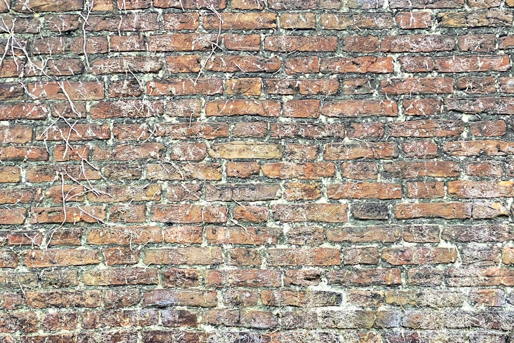 brown and white brick wall