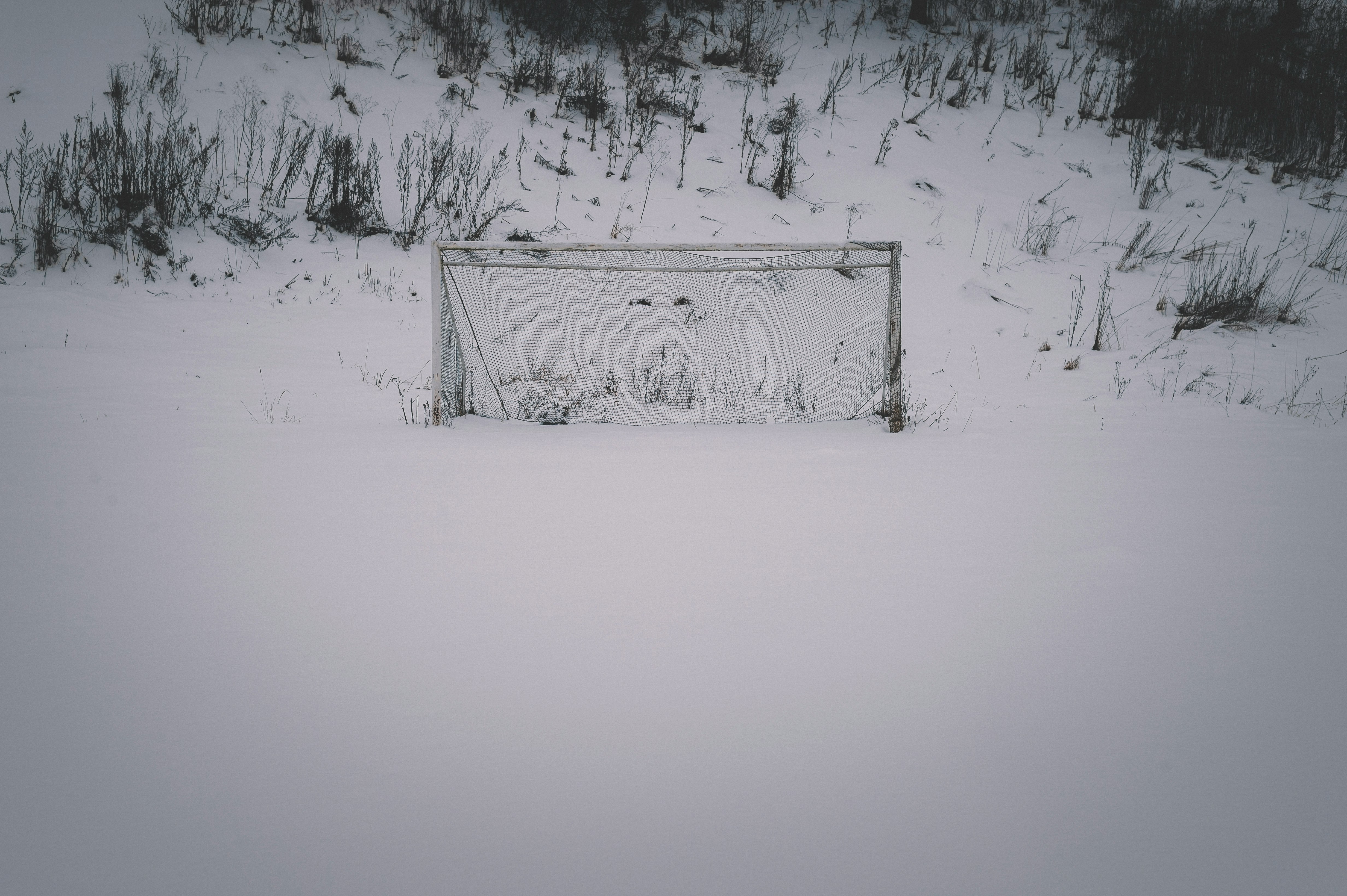 snow covered field during daytime