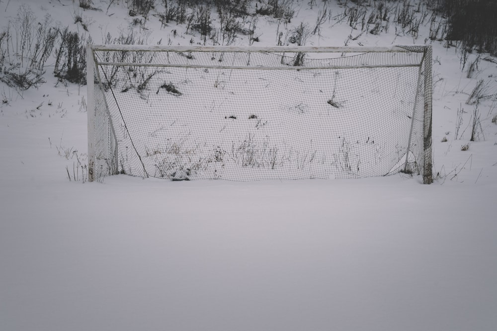 Schneebedecktes Feld tagsüber