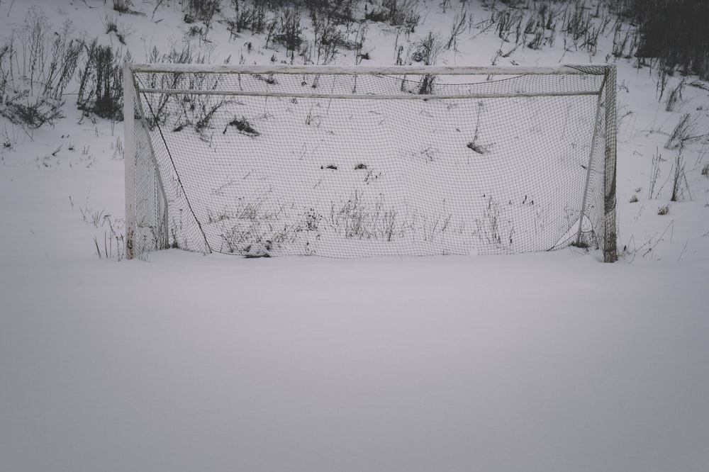 campo coberto de neve durante o dia
