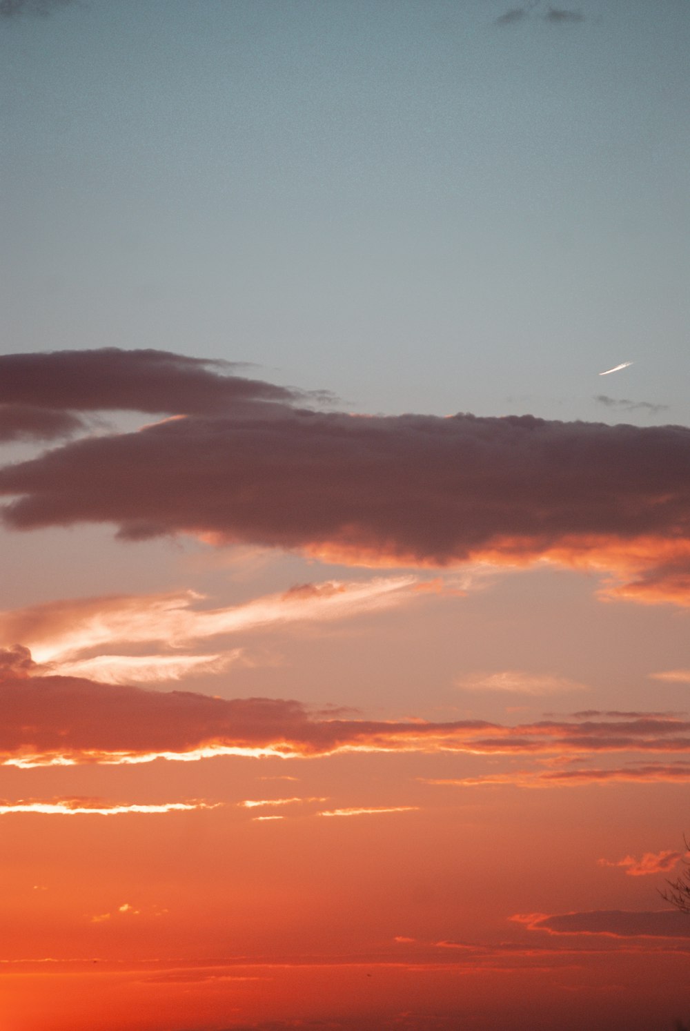 silhouette of bird flying over the clouds during sunset