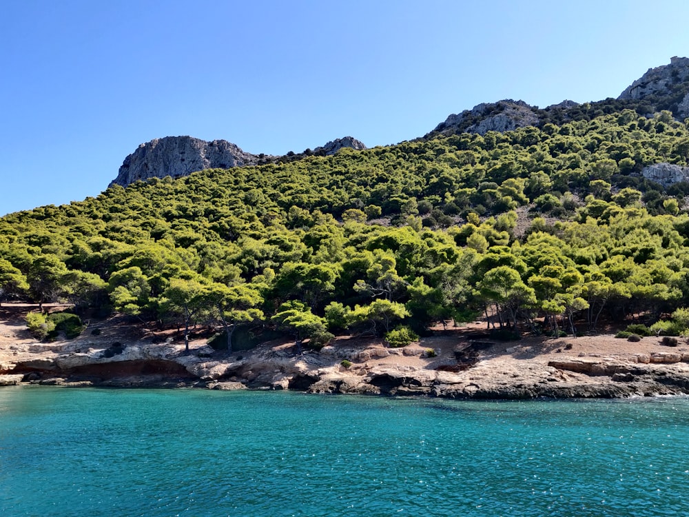 green trees on mountain beside sea during daytime