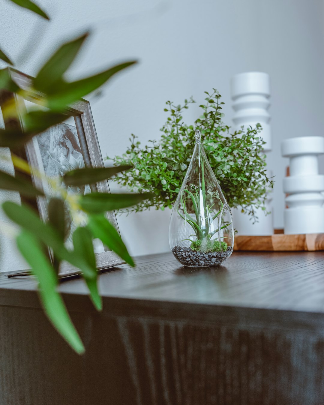 green plant in clear glass vase