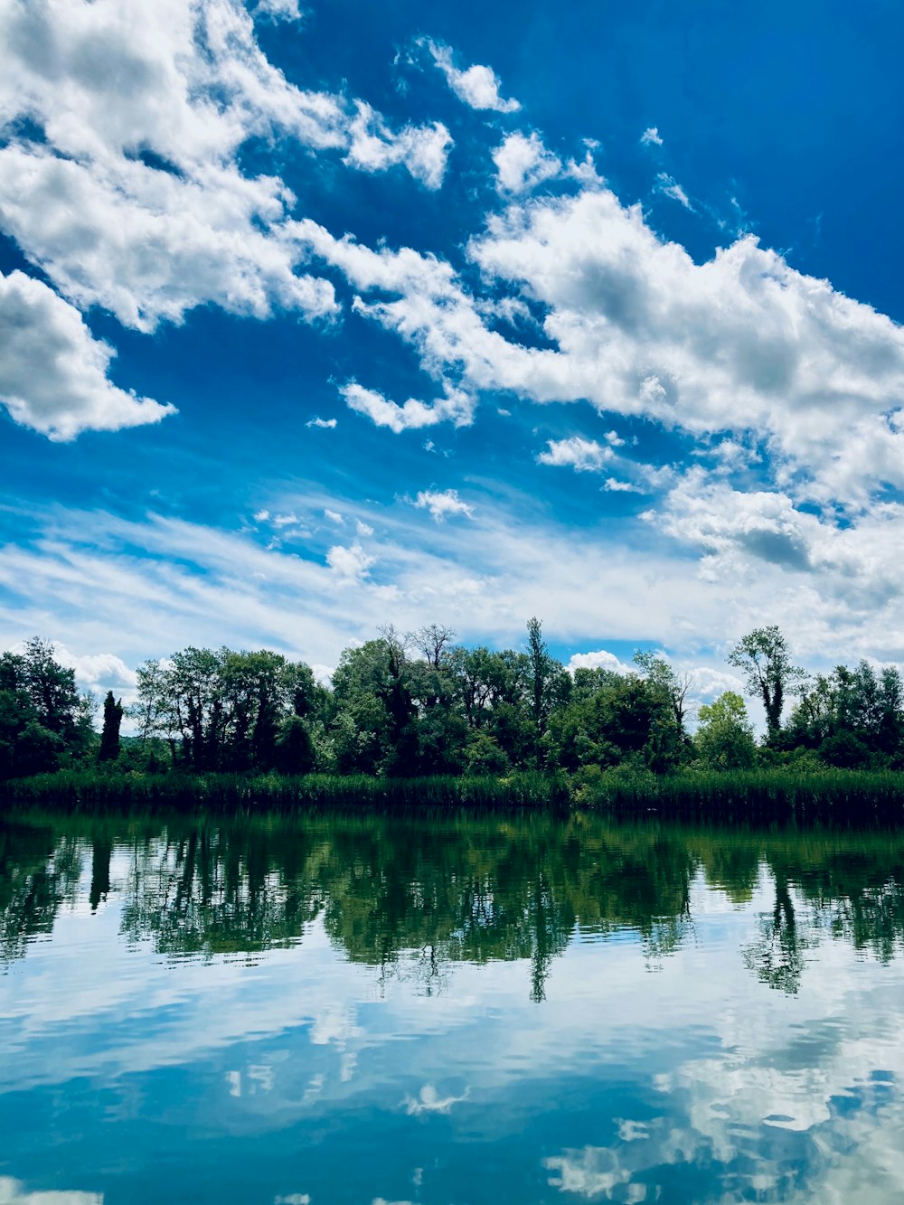 árvores verdes ao lado do lago sob o céu azul e nuvens brancas durante o dia