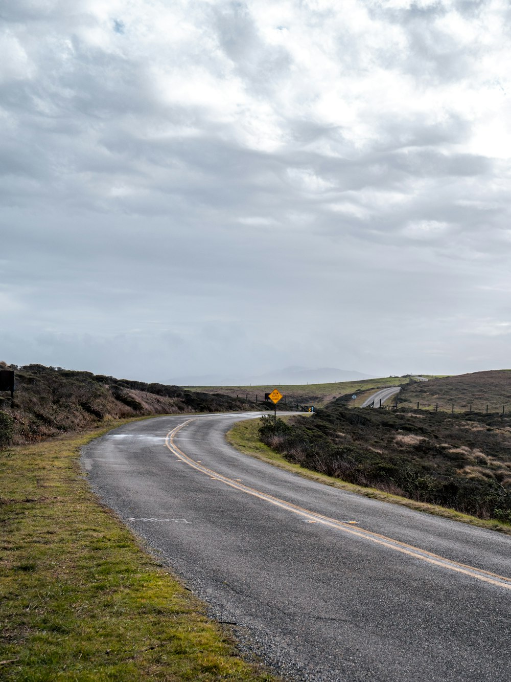 camino de concreto gris entre campo de hierba verde bajo cielo gris