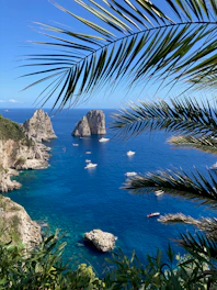 Capri Experiences