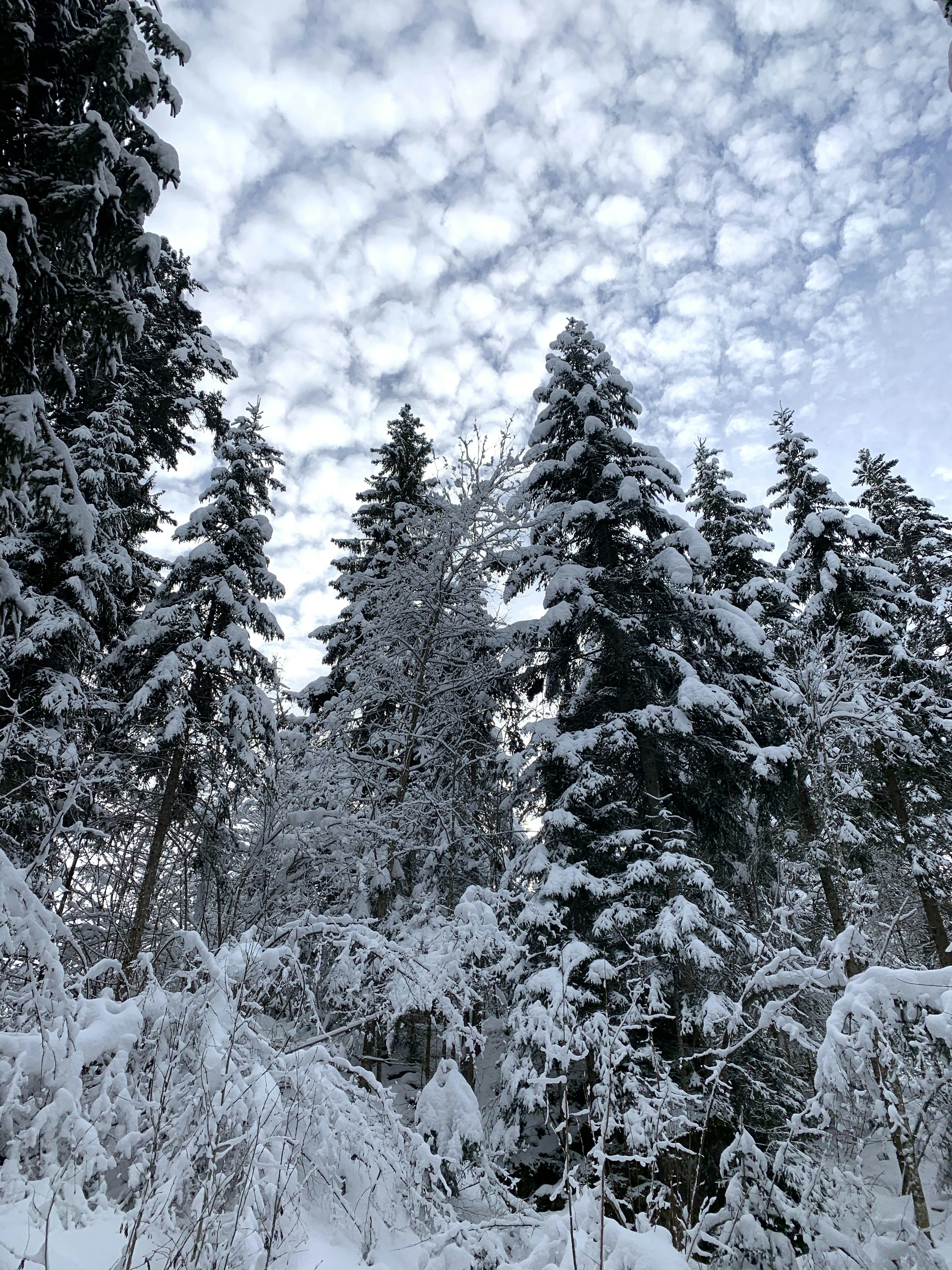 Photo by serainalarissa