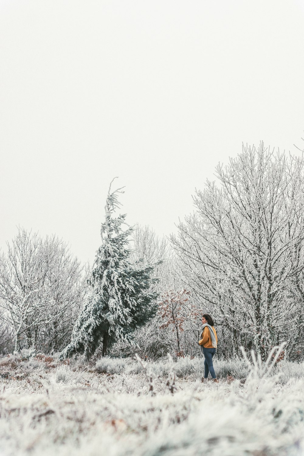 赤いジャケットとブルーデニムのジーンズを着た男が、木々の近くの雪に覆われた地面に立っています。