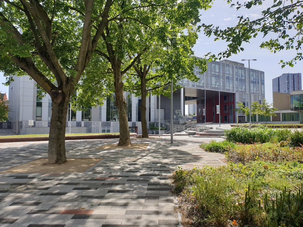 green trees near white building during daytime