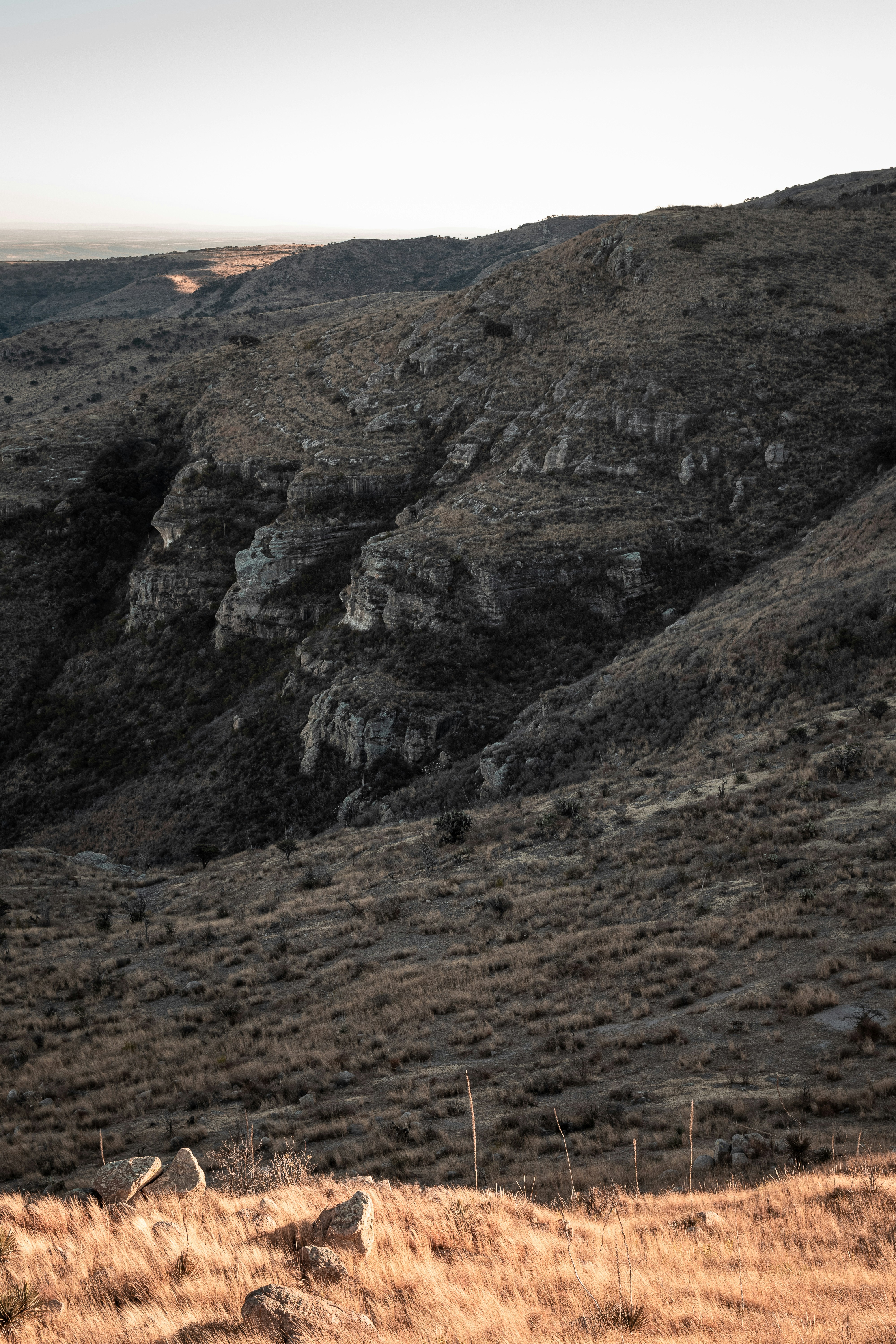 Photo by alex_quezada