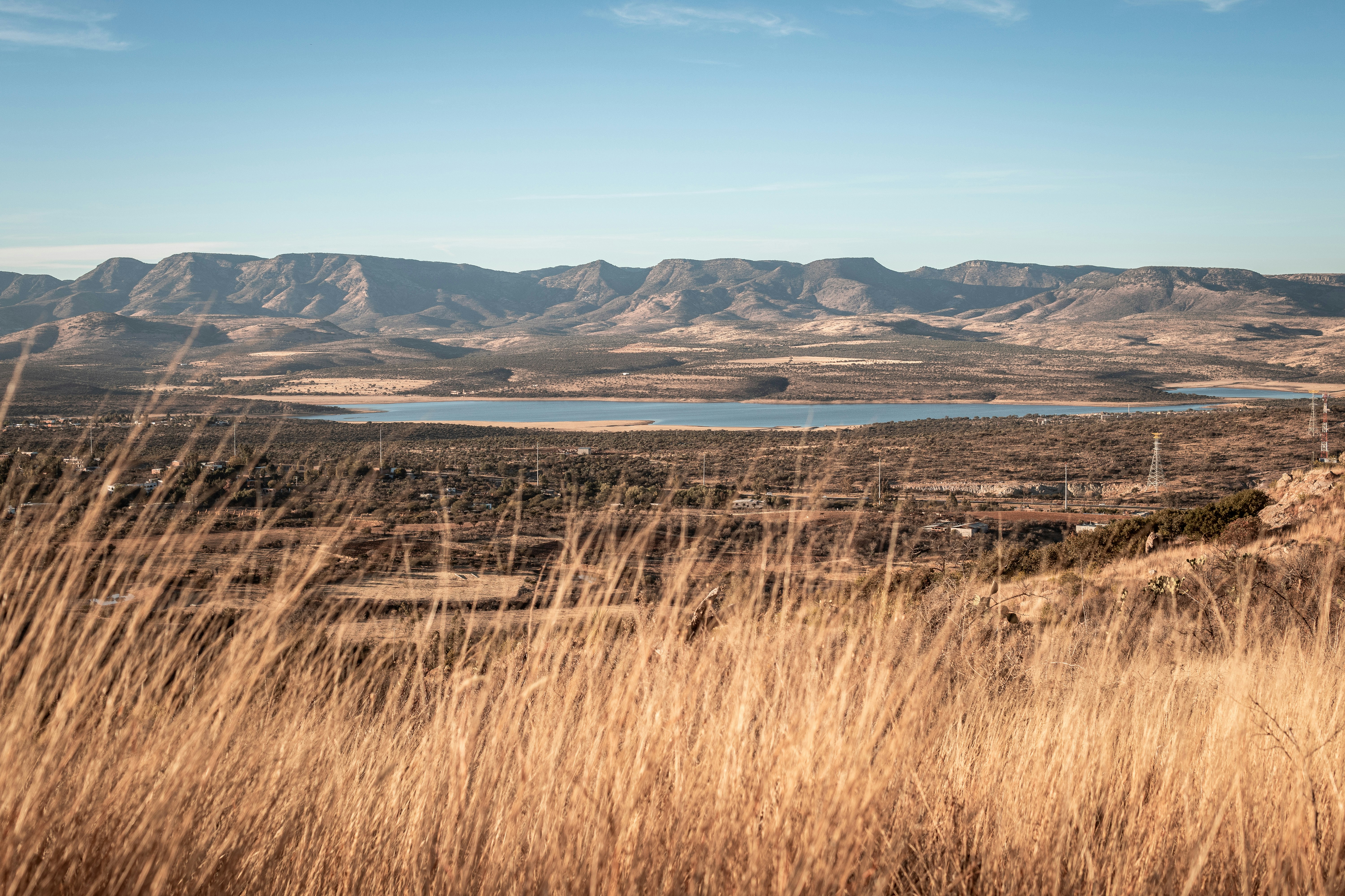 brown grass field near body of water during daytime