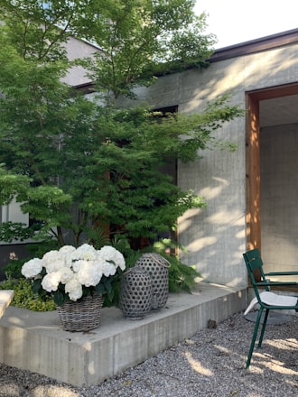 A concrete outdoor patio area with lush green foliage, including a large deciduous tree and other plants. Two woven baskets sit on a concrete ledge; one basket contains white hydrangeas, while the other holds two decorative lanterns. A green metal chair is positioned nearby on a gravel surface, partially obscured by the shadow of the tree.