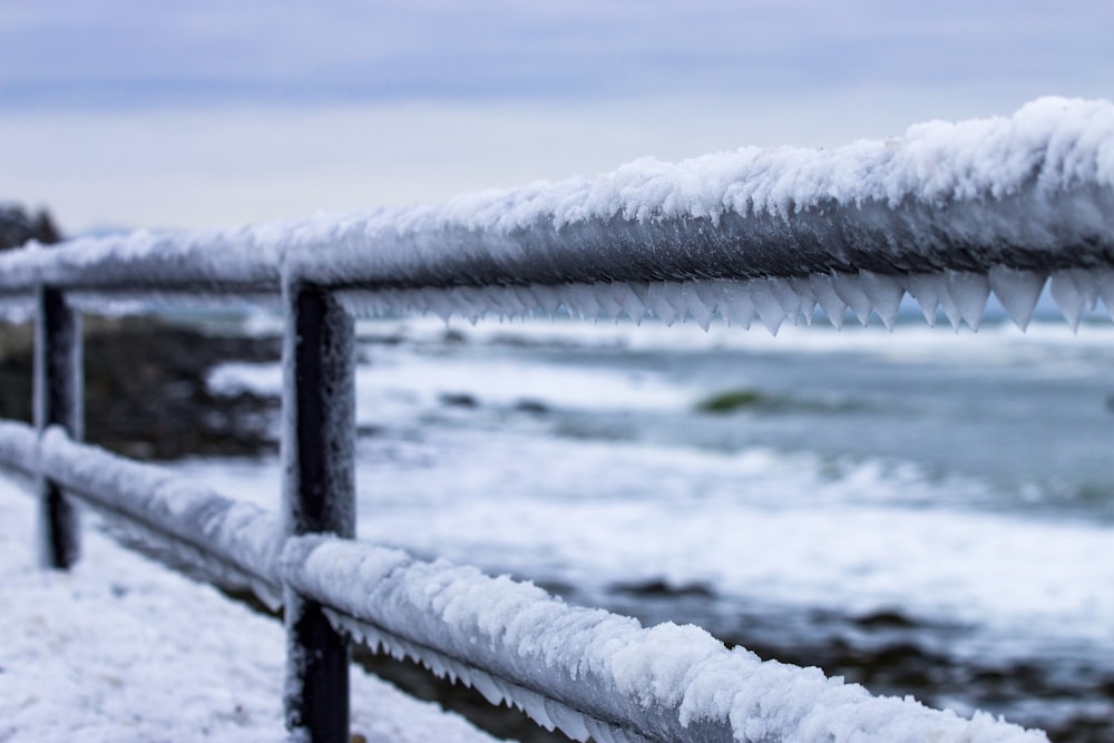 white snow on brown wooden fence