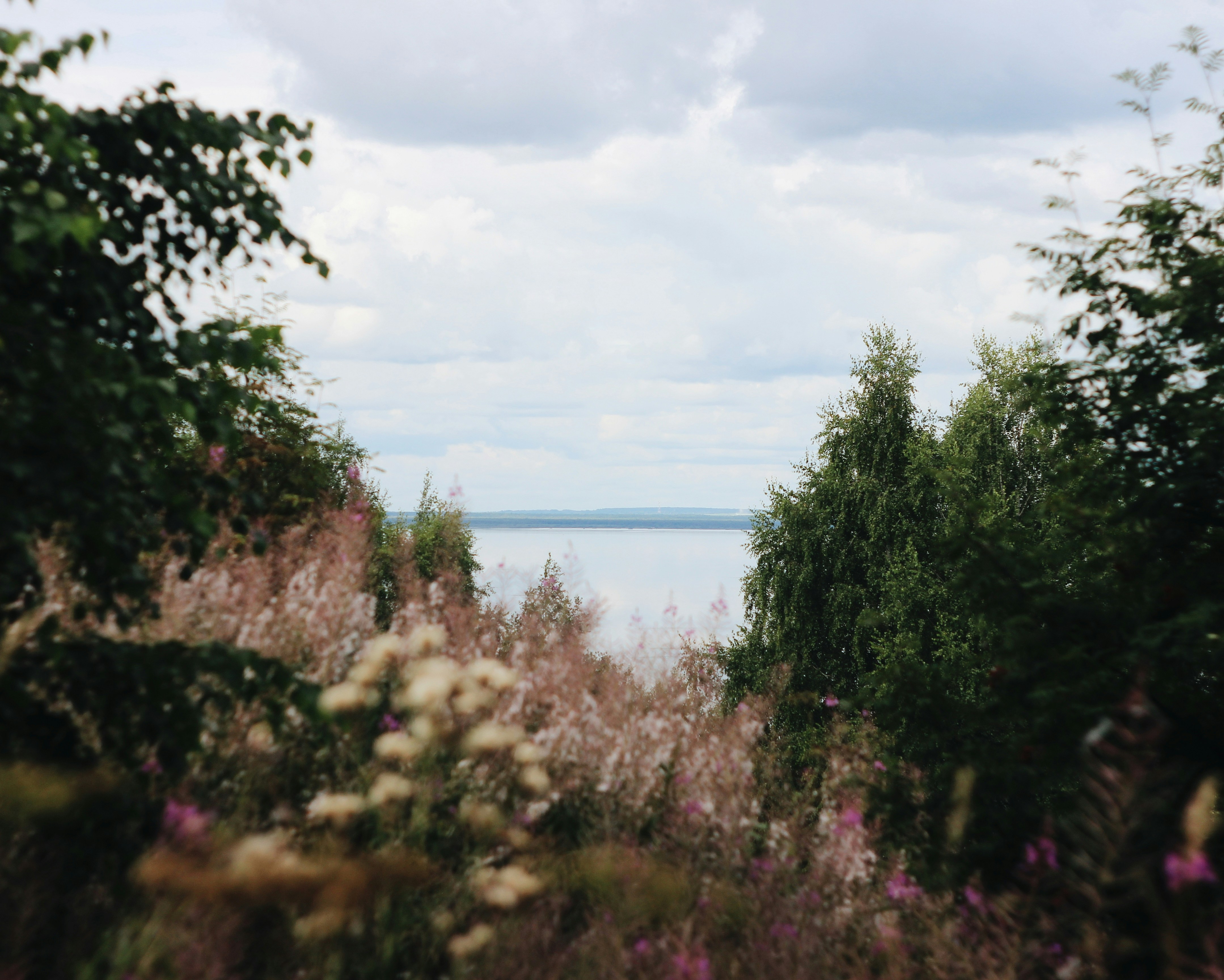 Budget Travel Guide to Lealman (2026)