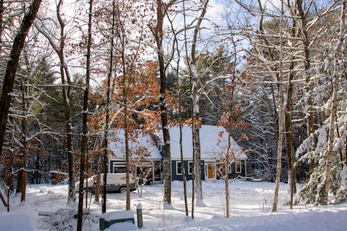 A snowy forest scene features a cozy house with a steep white roof peeking through a mix of bare and evergreen trees. The ground is blanketed in snow, and a car is parked in the driveway. Sunlight filters through the branches, casting shadows on the snow.