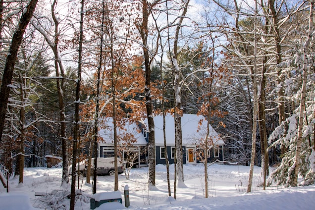A snowy forest scene features a cozy house with a steep white roof peeking through a mix of bare and evergreen trees. The ground is blanketed in snow, and a car is parked in the driveway. Sunlight filters through the branches, casting shadows on the snow.