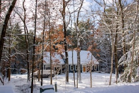 A snowy forest scene features a cozy house with a steep white roof peeking through a mix of bare and evergreen trees. The ground is blanketed in snow, and a car is parked in the driveway. Sunlight filters through the branches, casting shadows on the snow.