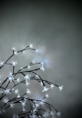 Glow-in-the-dark artificial branches adorned with illuminated flower-shaped lights curving elegantly against a muted gray background.