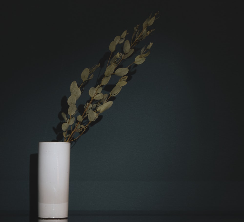 yellow flowers in white ceramic vase