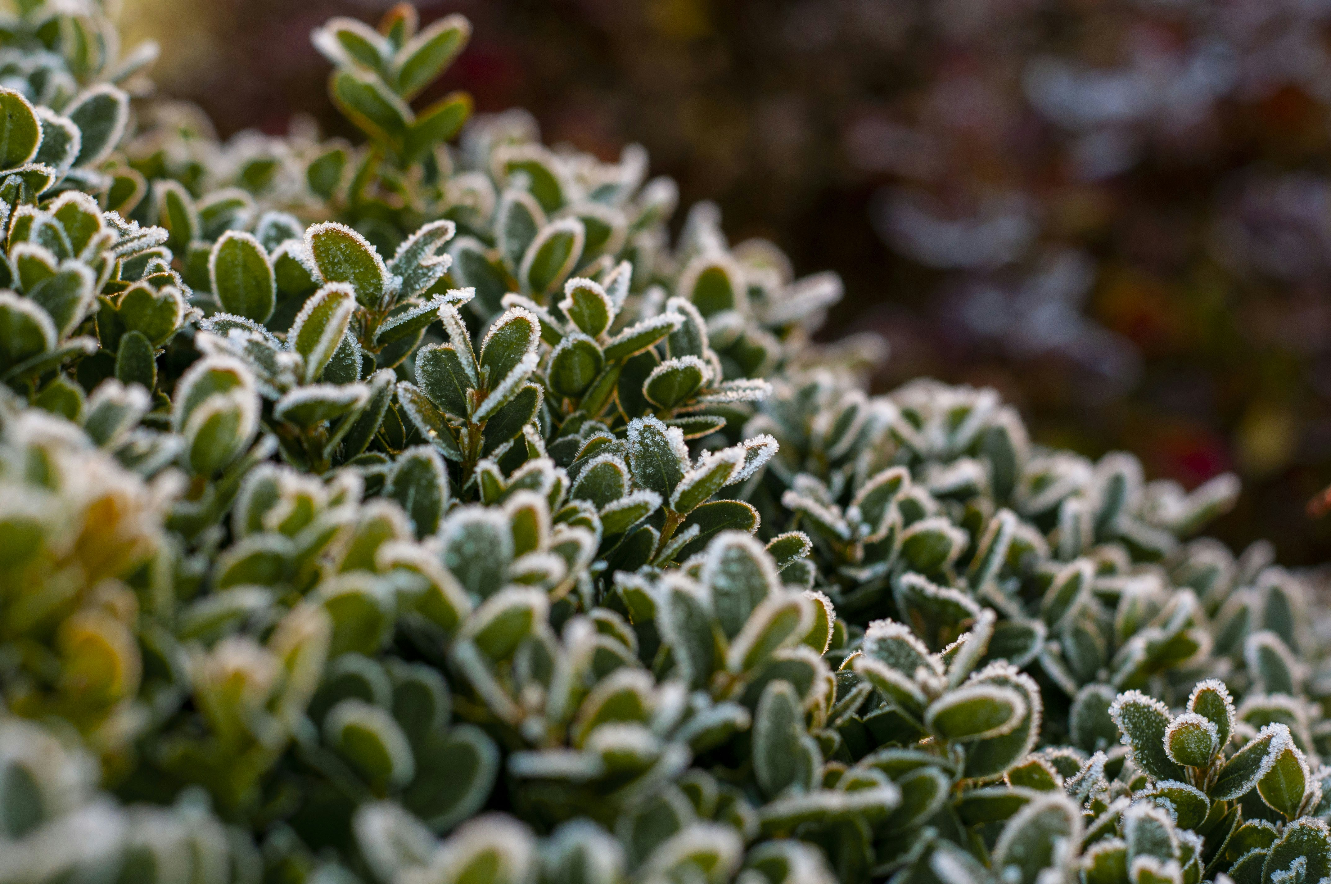 Photo by mariamiguelcardeiro