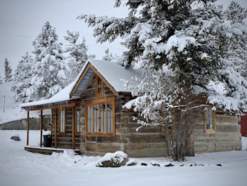 A rustic wooden cabin is surrounded by a winter landscape, with snow covering the roof and the branches of nearby pine trees. The cabin has several windows with a warm wooden frame, and icicles hang from the roof. The scene is tranquil, with a thick blanket of snow covering the ground and a forest of snow-laden trees in the background.
