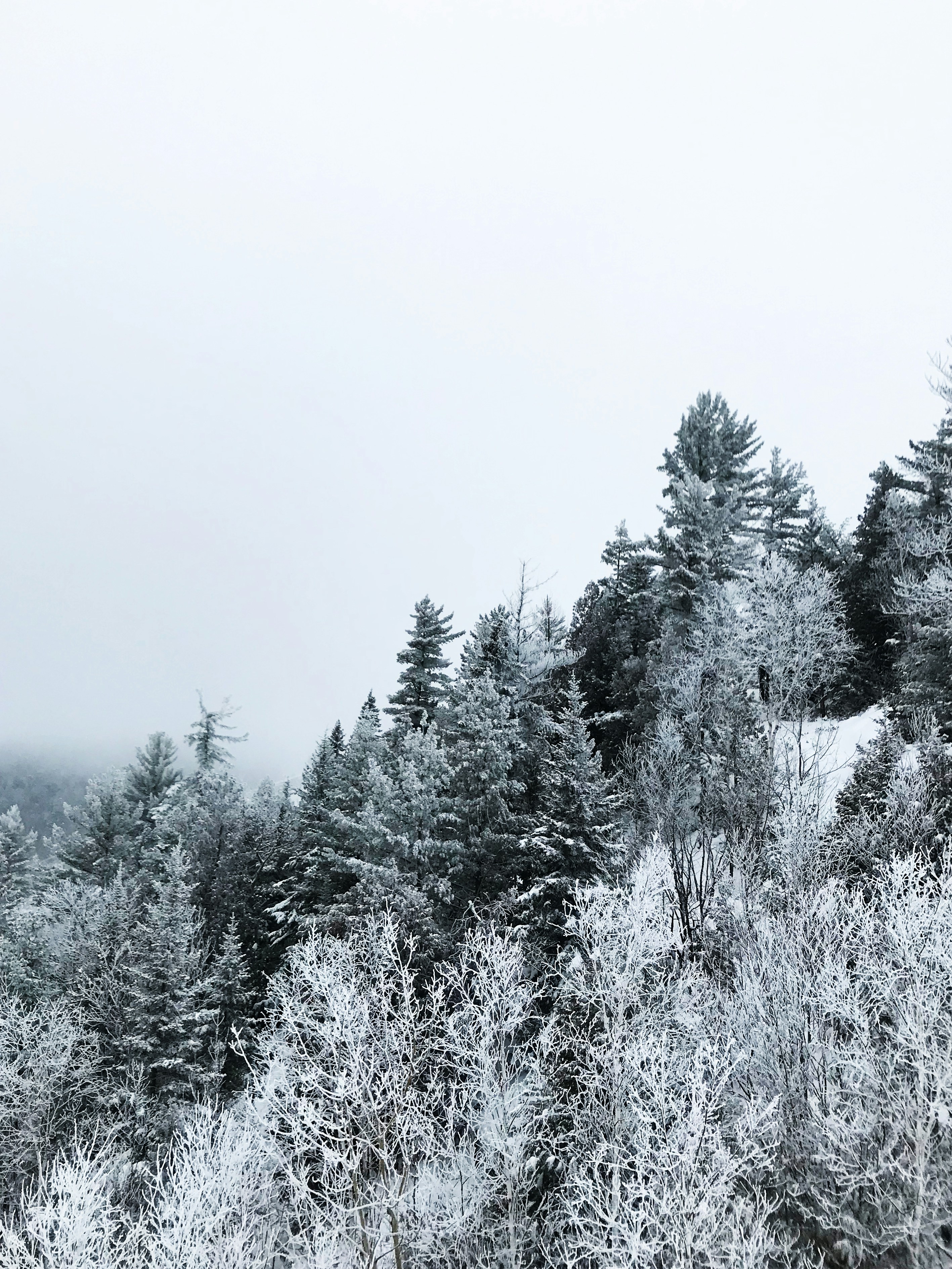 Photo by kimberly_genest