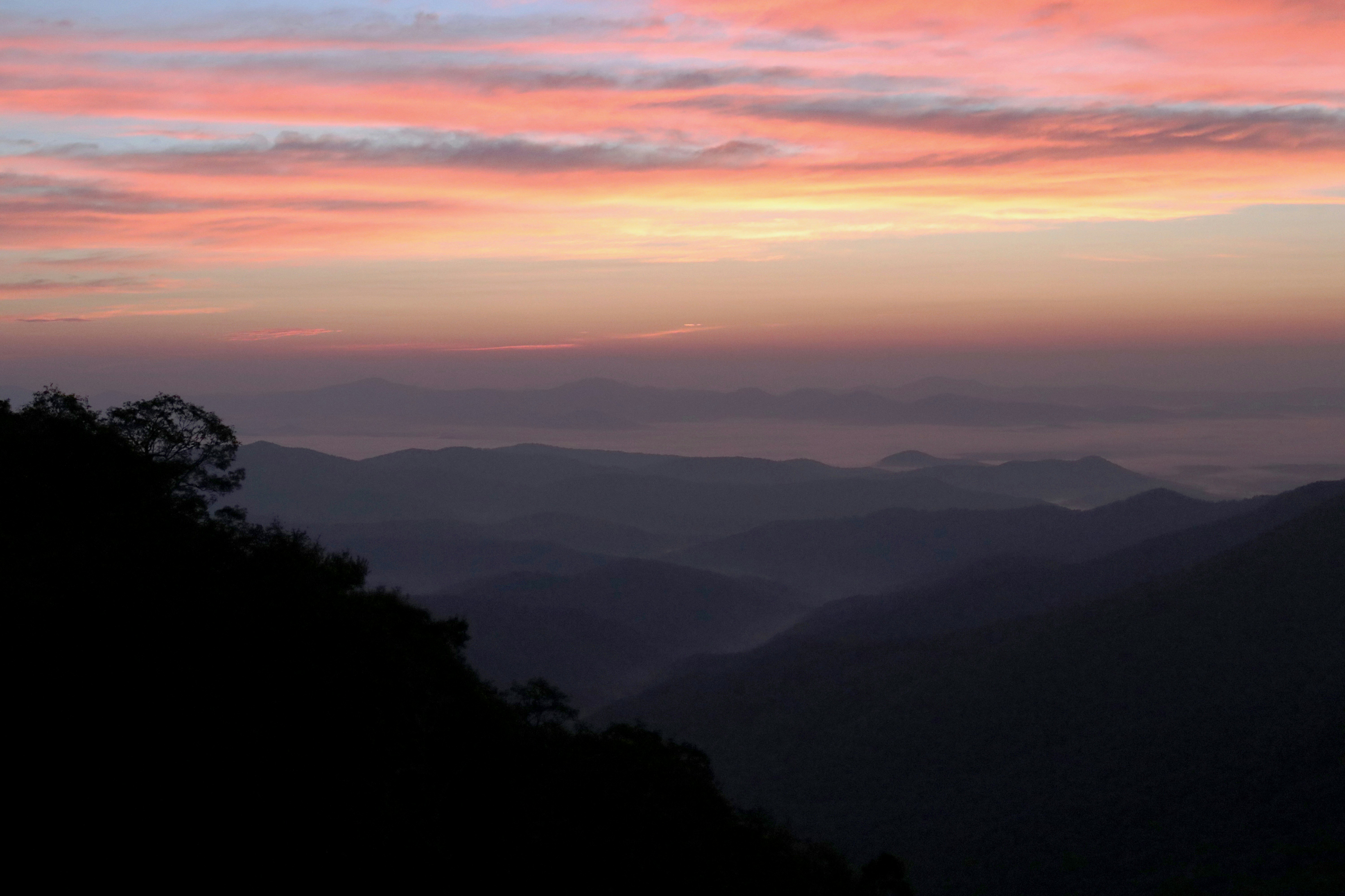 Photo by sayakaganz22