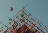 birds flying over brown metal tower