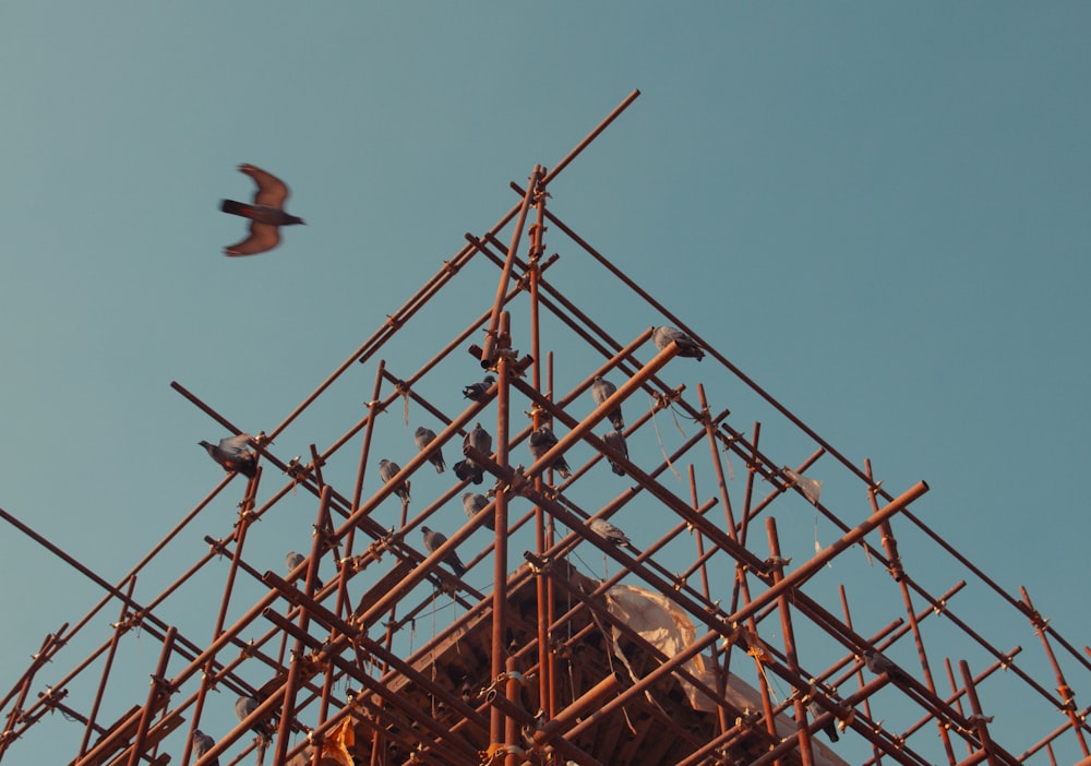 birds flying over brown metal tower