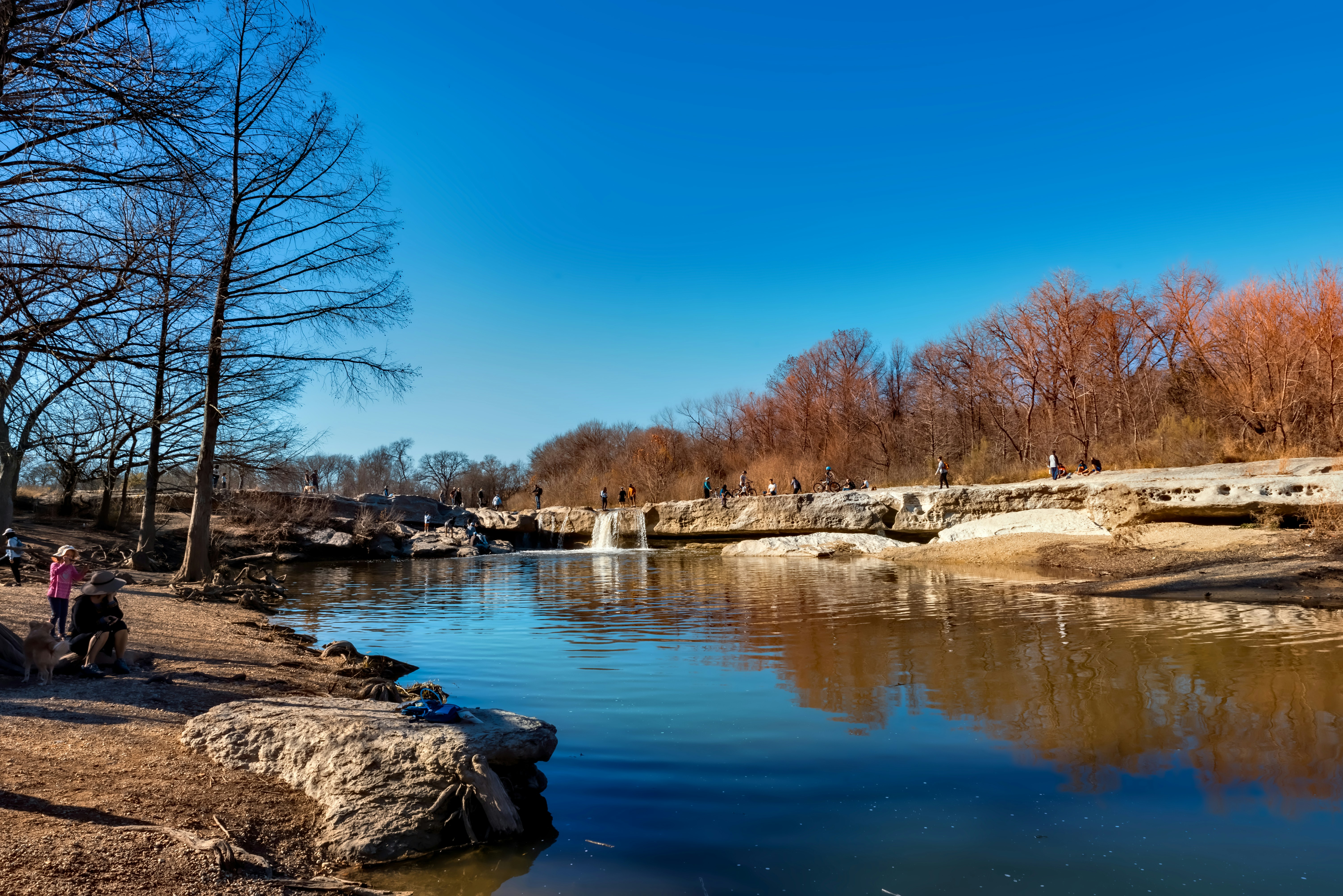 Rocky creek bank with trees in the sun