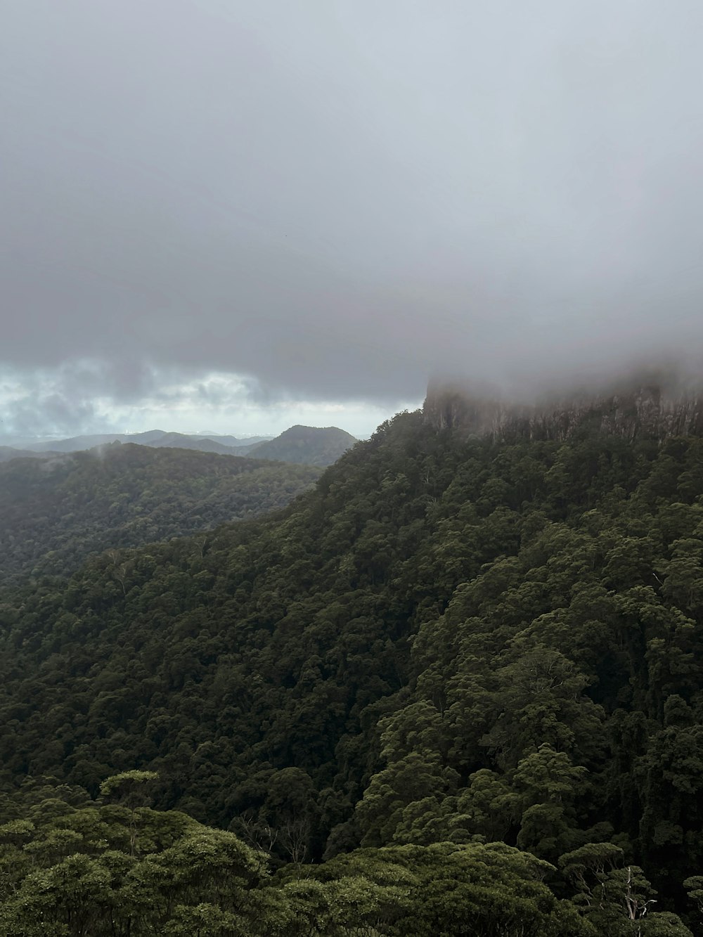 green trees on mountain under white sky during daytime