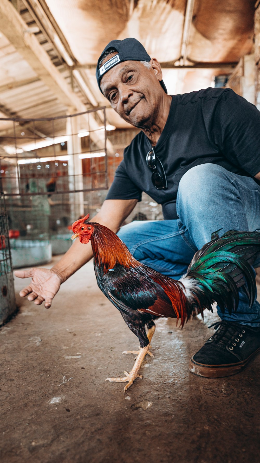 person in black leather jacket and blue denim jeans holding red rooster