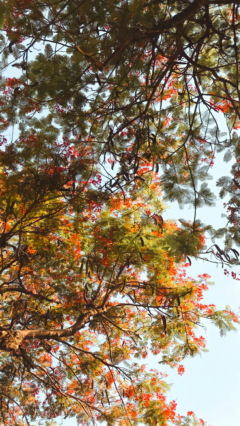 brown and green leaves tree under blue sky during daytime