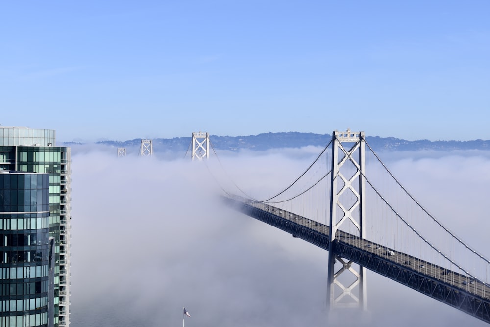 pont au-dessus du brouillard pendant la journée