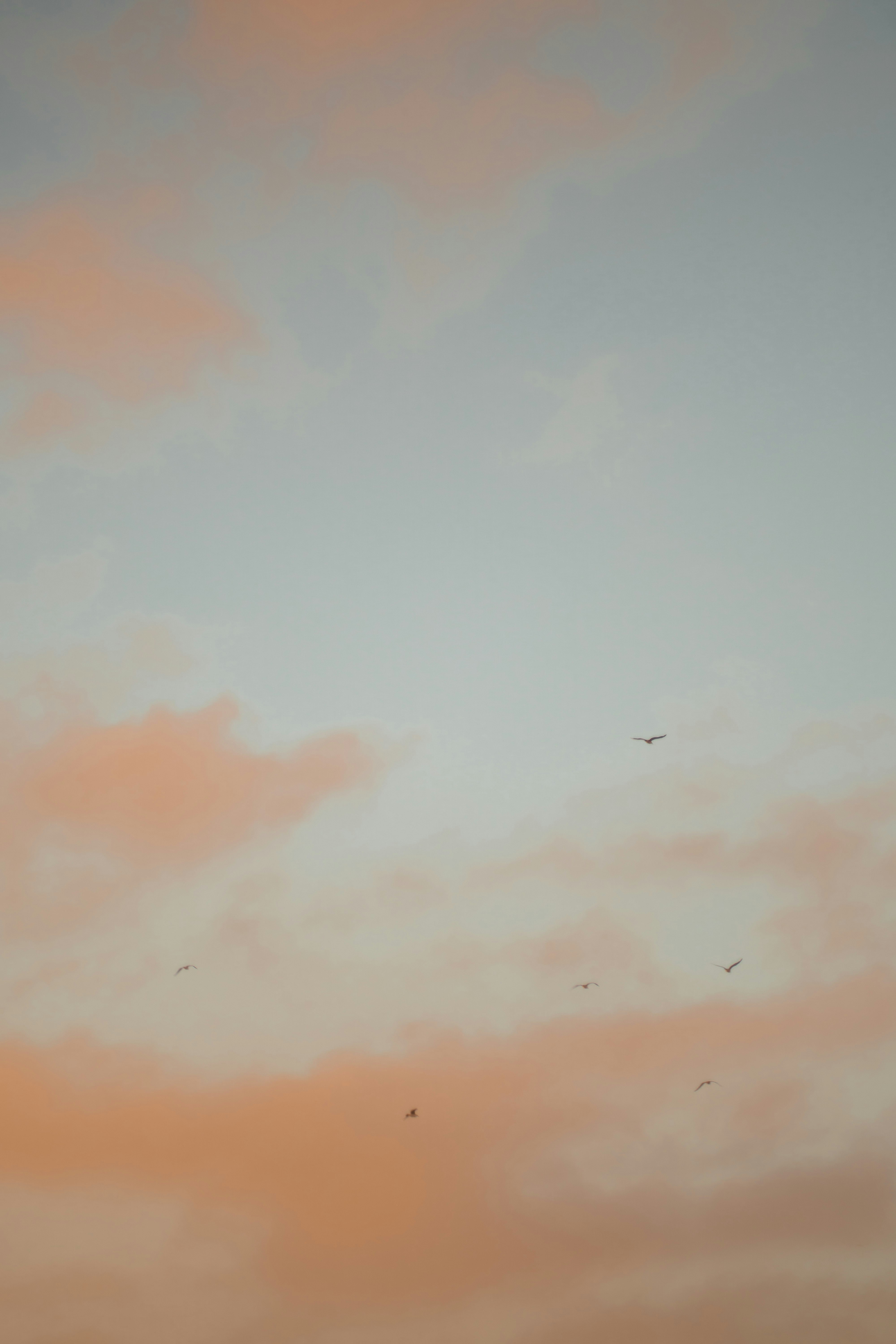 Photo by castillcc