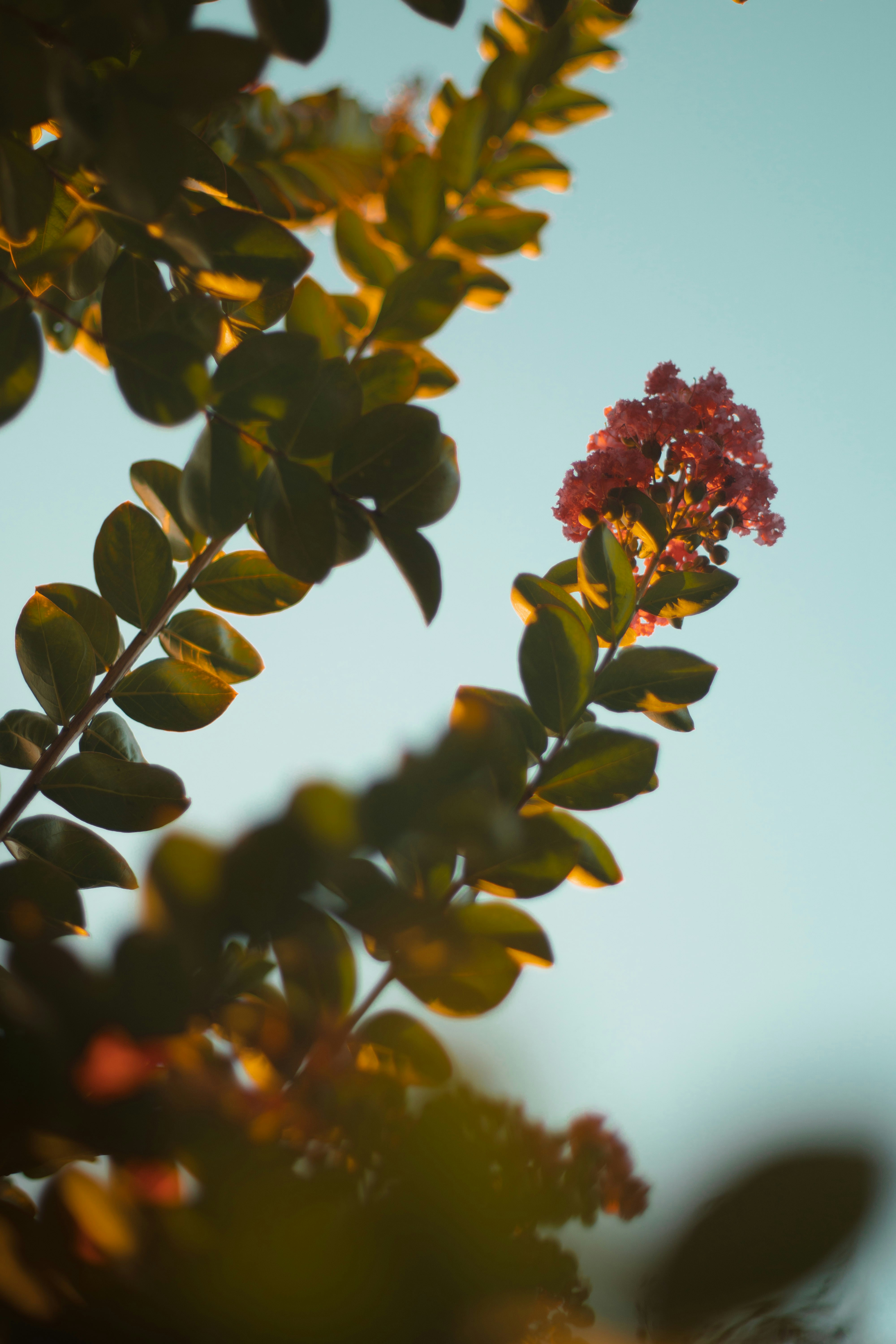 Photo by castillcc