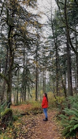 person in red jacket standing in the woods during daytime