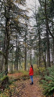 person in red jacket standing in the woods during daytime
