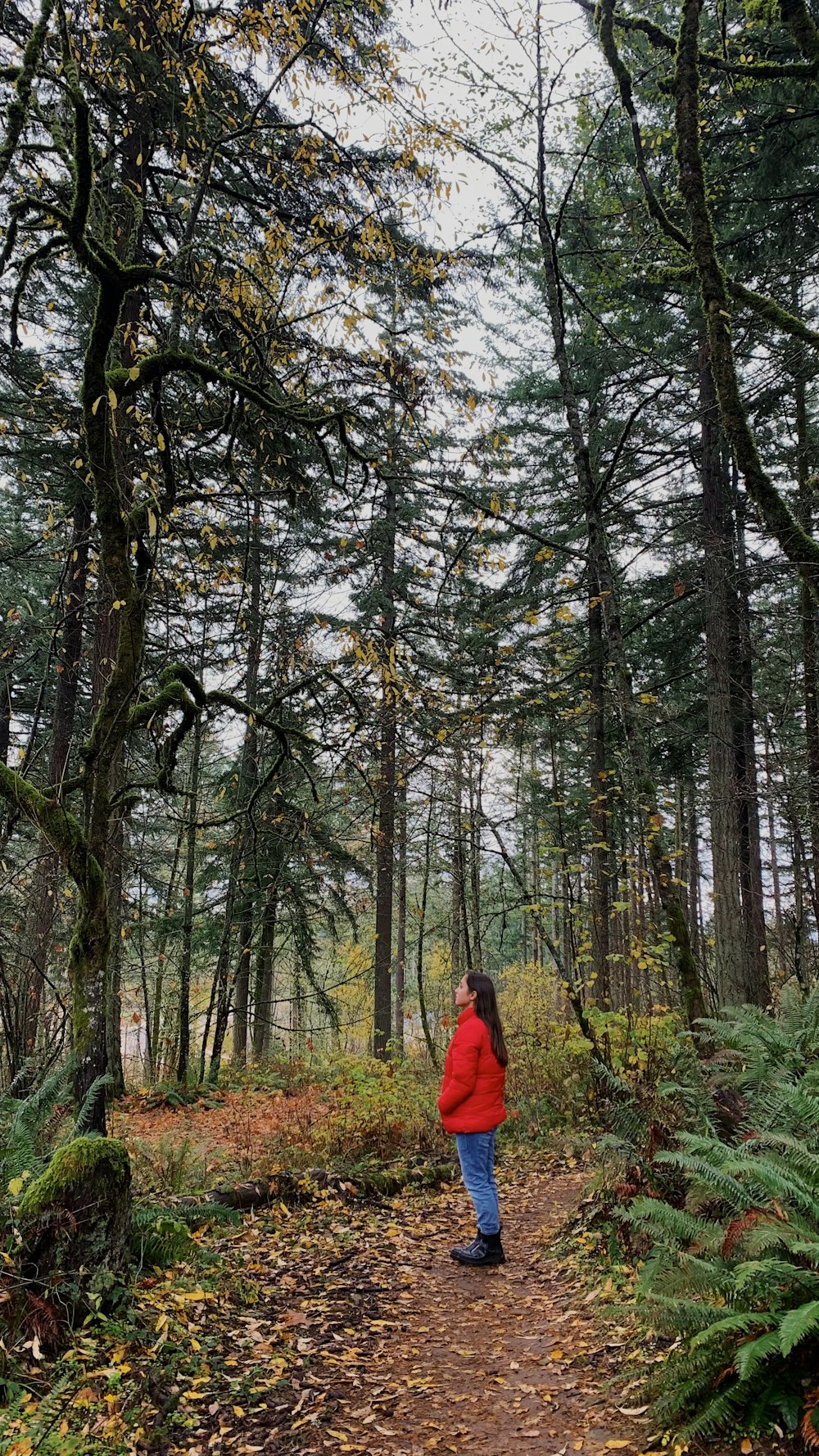 person in red jacket standing in the woods during daytime