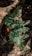 Close-up of a lush green fern with soft terracotta pots in the background.