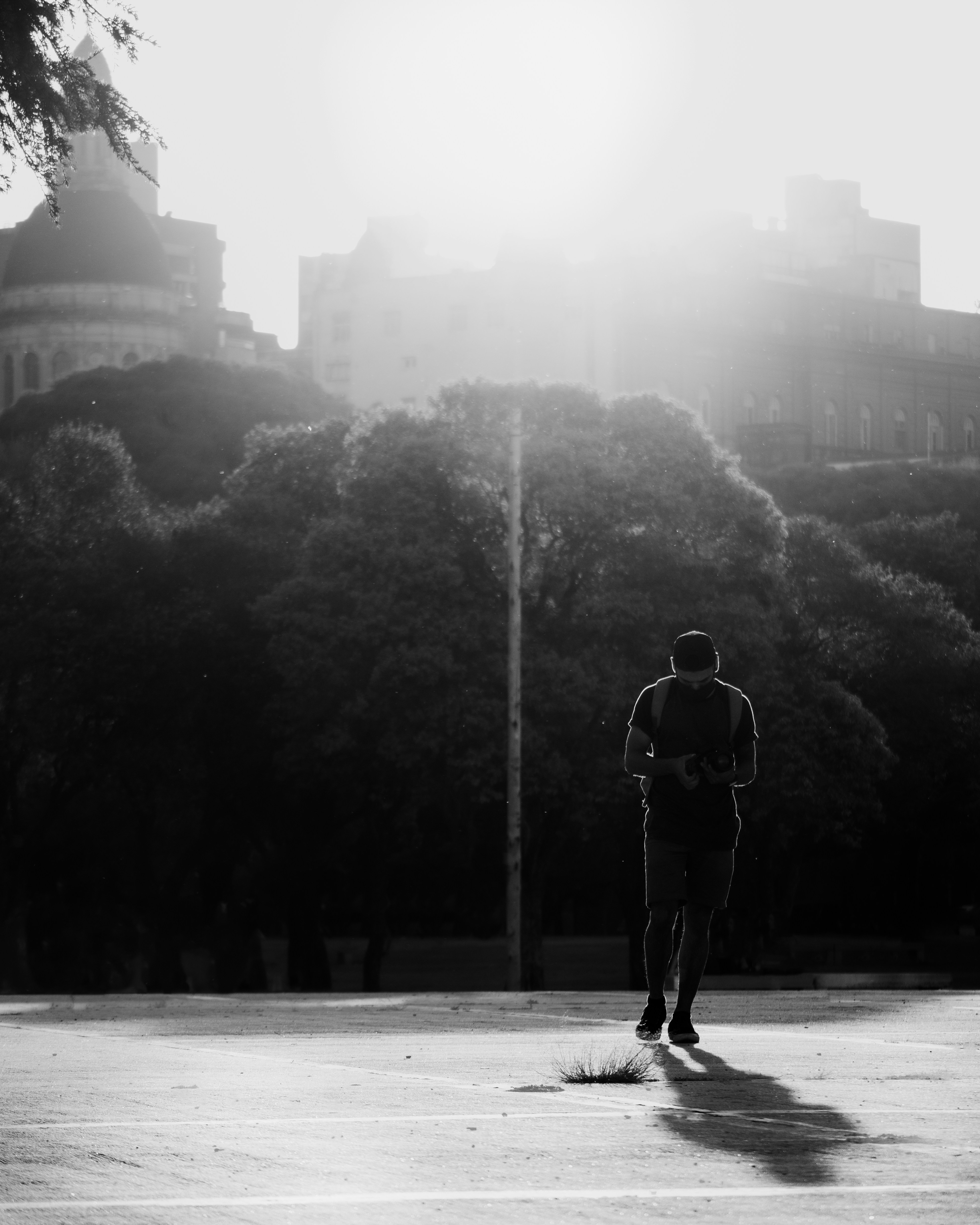 Photo by nature_of_the_experiment