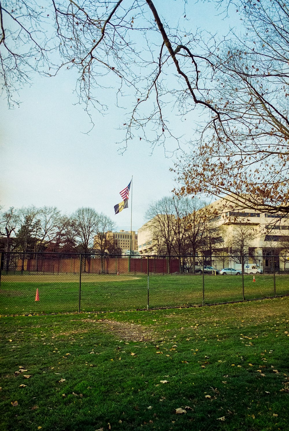 us a flag on green grass field near bare trees during daytime