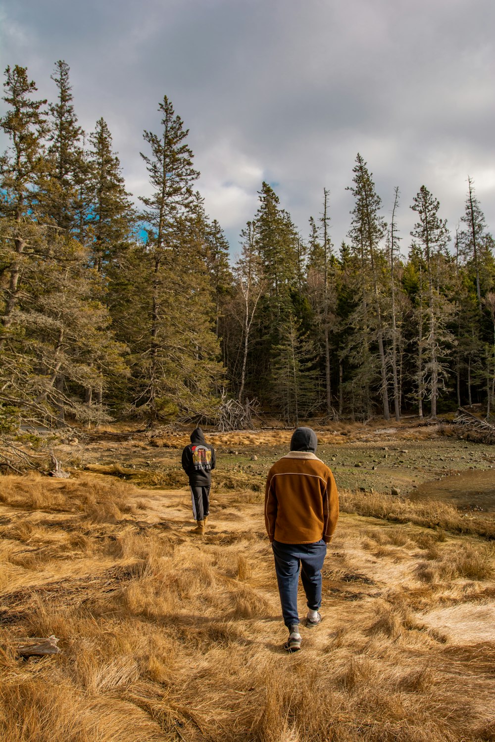 2 person walking on dirt road surrounded by trees during daytime