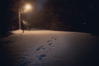 snow covered field during night time