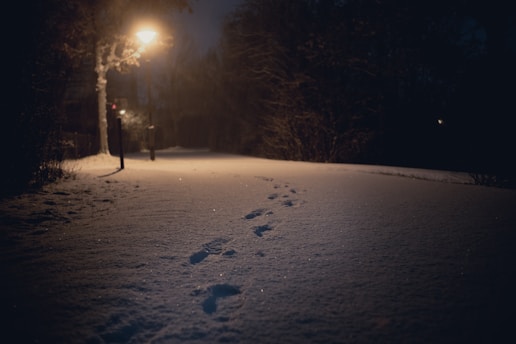 snow covered field during night time