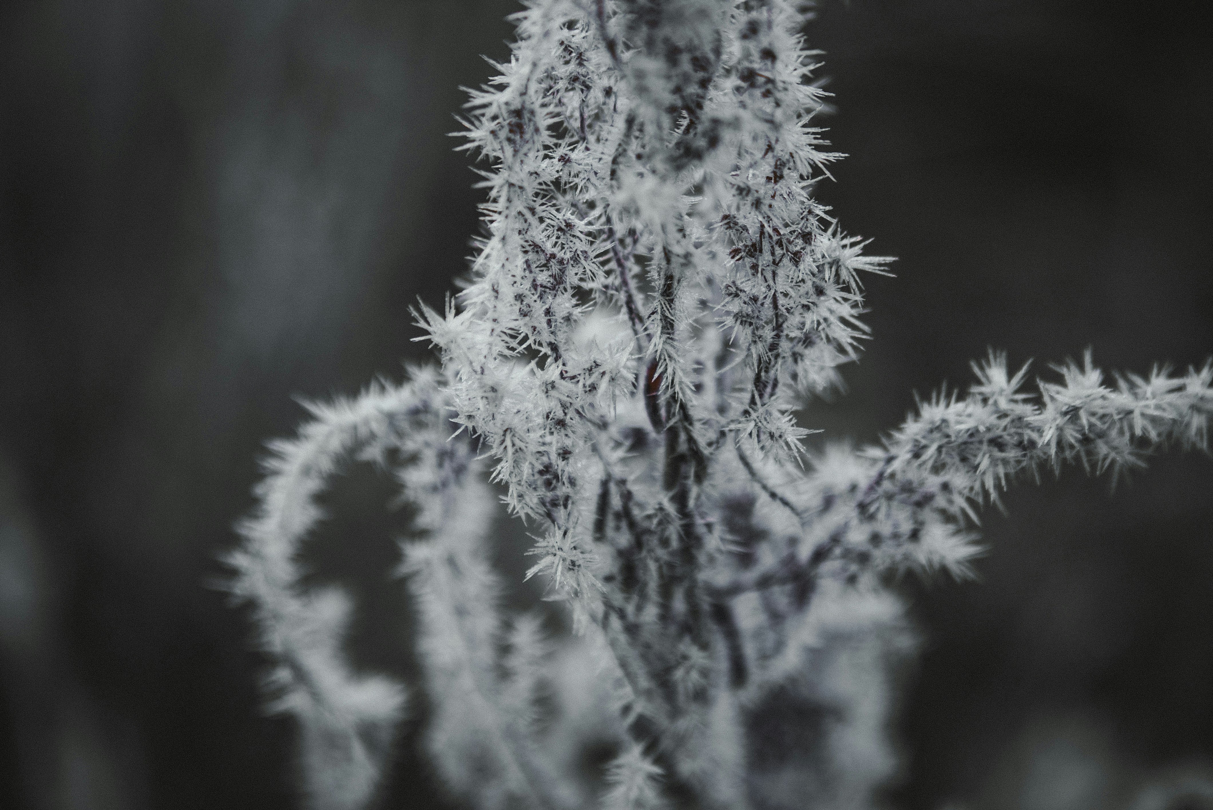 Photo by bradleycdunn