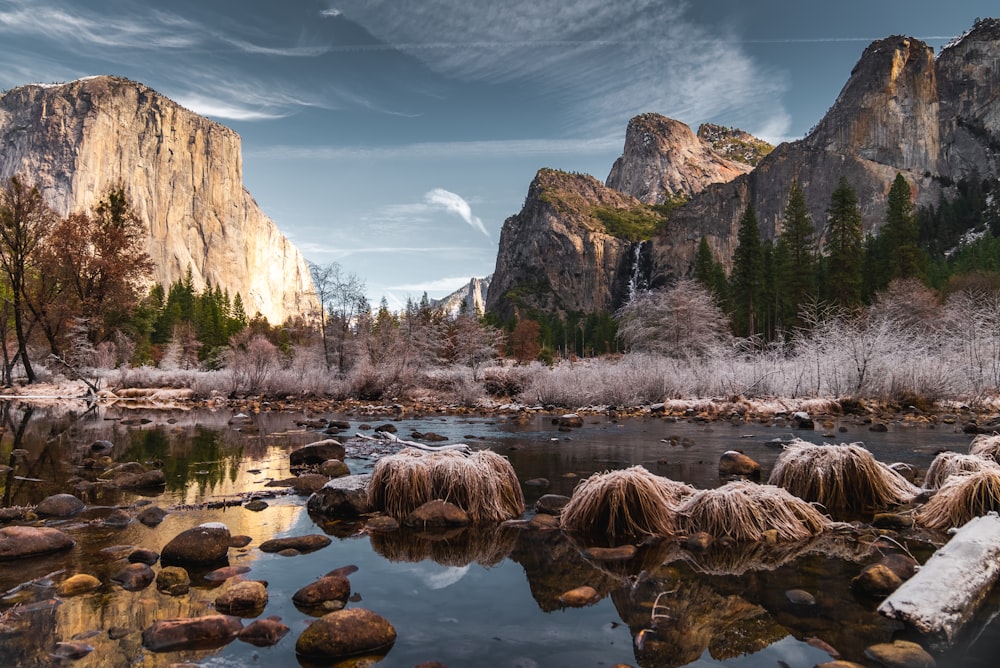 Braune Bäume in der Nähe von Brown Rocky Mountain tagsüber