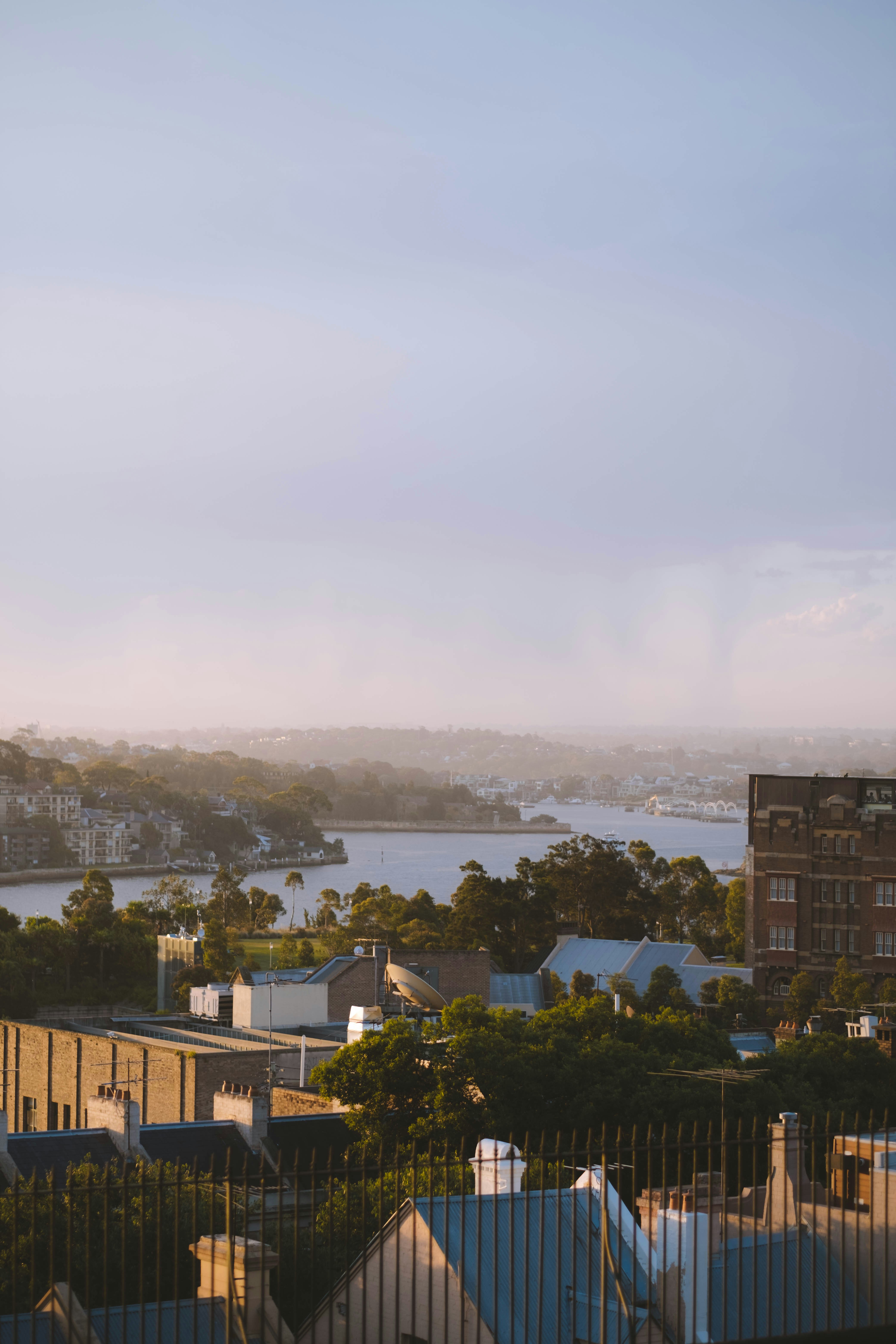 Coastal city skyline with residential buildings and calm water.